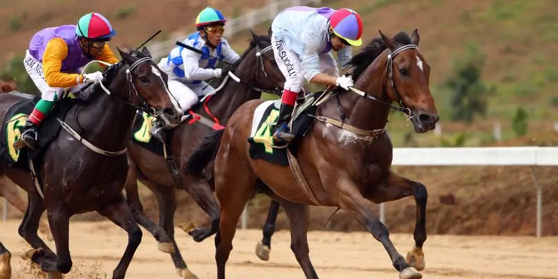 Đôi điều cần biết về tựa game đua ngựa Kubet77