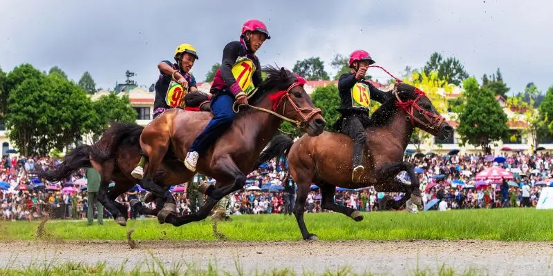 Mẹo chơi game hiệu quả từ các chuyên gia đầu ngành