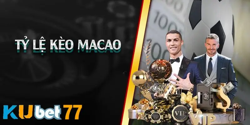 Điểm danh các loại hình cược tỷ lệ kèo macao